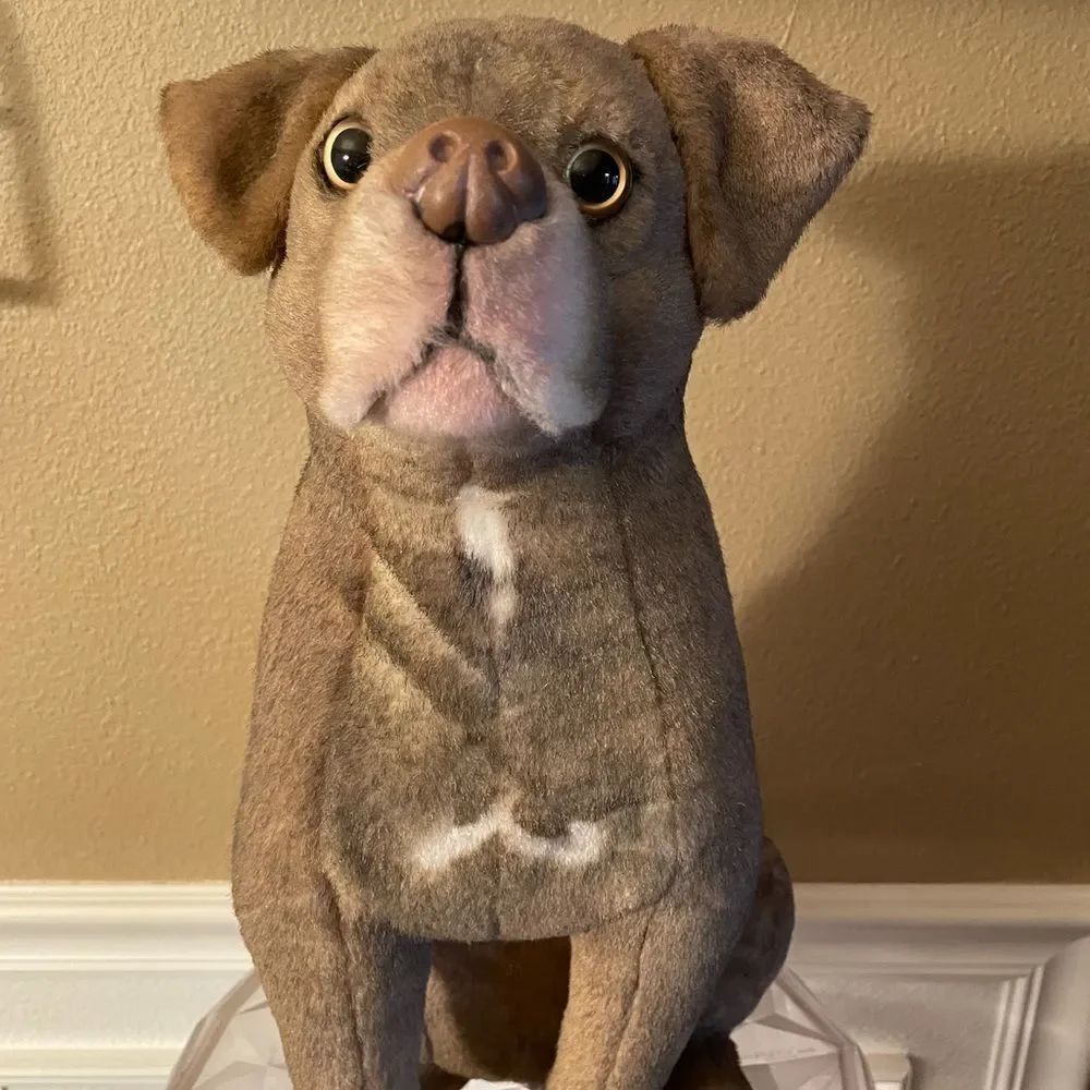 Petsies Custom Made Dog in Memorial Does This Look Like Your Dog?’